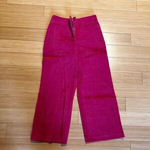 Vibrant Red Velvet Pants - LITTLE MOON